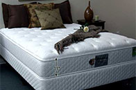 Flotation Sleep 8300 Non Pillow Top