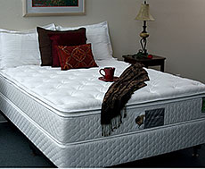 Flotation Sleep 8400 2.5" Pillow Top