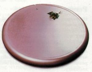 Airframe AIR CUSHION #2